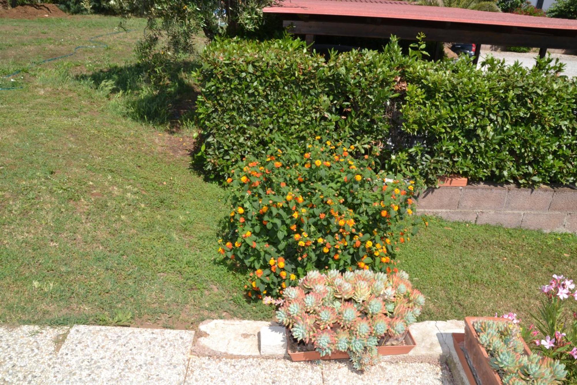 La Mimosa 호텔 볼게리 외부 사진